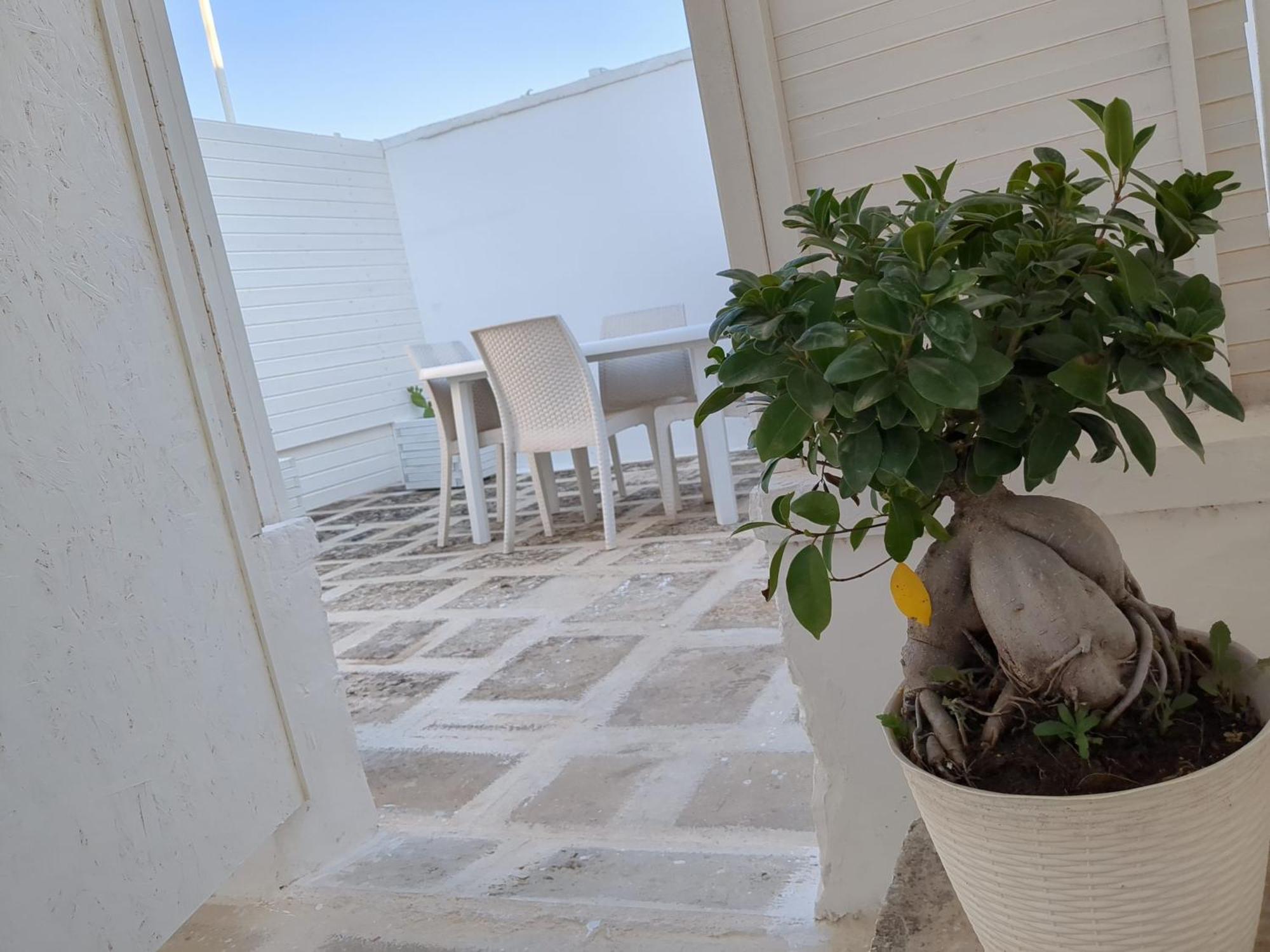 Apartamento Arcosalento